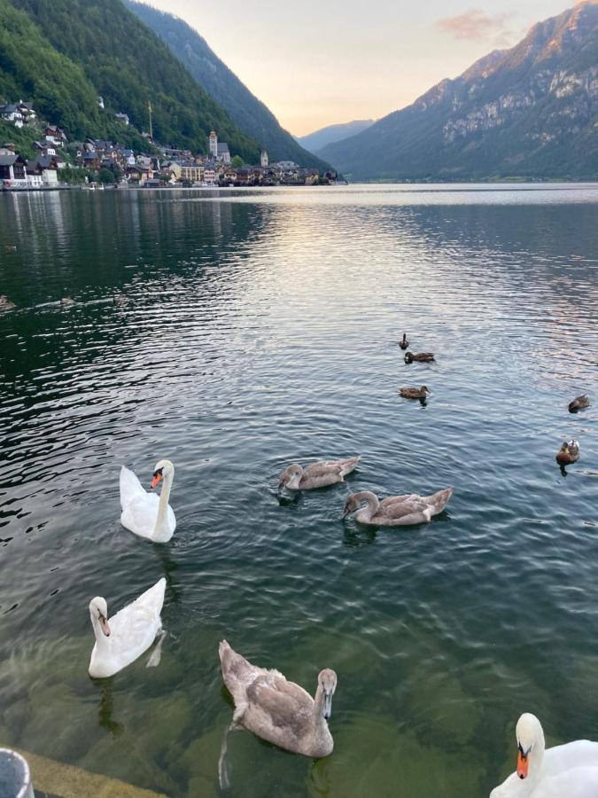 Hallstatt Lakeside Top 4 - Zimmer Mit Balkon المظهر الخارجي الصورة